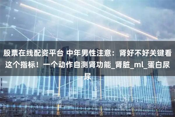 股票在线配资平台 中年男性注意:肾好不好关键看这个指标!一个动作自测肾功能_肾脏_ml_蛋白尿