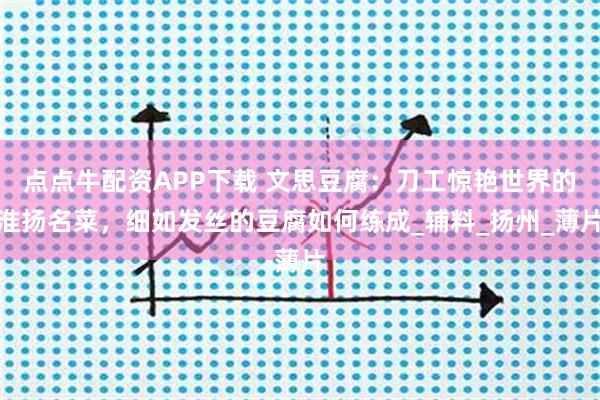 点点牛配资APP下载 文思豆腐：刀工惊艳世界的淮扬名菜，细如发丝的豆腐如何练成_辅料_扬州_薄片