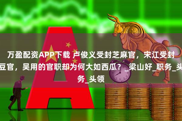 万盈配资APP下载 卢俊义受封芝麻官，宋江受封绿豆官，吴用的官职却为何大如西瓜？_梁山好_职务_头领