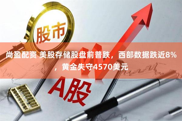 尚盈配资 美股存储股盘前普跌，西部数据跌近8%，黄金失守4570美元